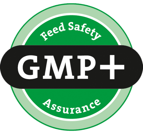 logo-gmp.png